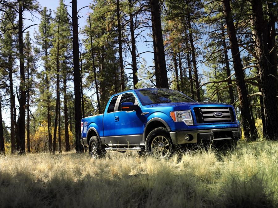  Ford F-150 FX4 2008 года  (фото 13 из 18)